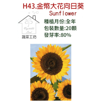 【蔬菜工坊】H43.金幣大花向日葵種子