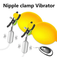 20 Frequency Nipple Vibrator Breast Massage Nipple Clamps Clitoral Clip Nipple Clitoral Stimulation Sex Toys for Women Couple