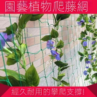 可客製 爬藤網 百香果爬藤種植網 植物種植網 弔瓜爬藤網 月季園藝爬藤網 葡萄爬藤網架