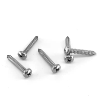 2025304 Stainless Steel Screw Fasteners Manufacturer Phillips Pan Head Self-Tapping Screws PA Round