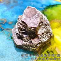 【土桑精選】鋰雲母六角晶簇原礦2號~巴西米那吉拉斯州~蛻變之石 與透鋰長石(白色)、碧璽、金雲母共生