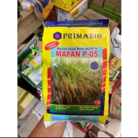 PRIMASID Benih Padi Hibrida Mapan P-05 F1 Kemasan 1KG Varietas Indica Hasil Tinggi 12-13 Ton Ha Pote