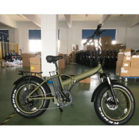 20inch 500W BAFANG bike electric folding bicycle