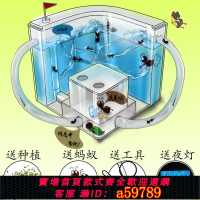 【台灣公司 可打統編】【1043次回購】螞蟻工坊學生版生態箱巢穴飼養盒蟻巢新手套裝城堡寵物活物屋莊園