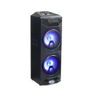 SoundPio neer Wooden trolley PA Speakers System Karaoke Player with Mic DSP ktv karaoke system