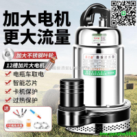 【卓越優選館】沉水泵浦超大功率12V24V48V60V通用沉水幫浦 抽水機 抽水馬達 水龜 直流潛水泵72V農用抽水泵
