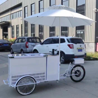 Freezer Electric Scooter Electric Tricycles 3 Wheel Electric Cargo Bike With Mini Cold Room