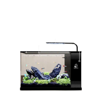 【星治】小型客廳魚缸 亞克力生態魚缸 側濾生態魚缸 智能循環魚缸 預售十二工作天(基礎套餐 30*15*20)
