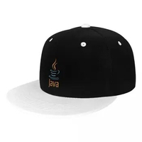 Java Language Baseball Cap Flat Peak Hip Hop Hats Men Women Snapback Caps Male Bone Band Casual Travel Outdoor Sun Hats