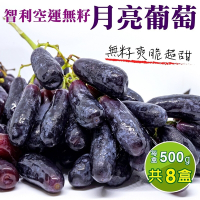 【天天果園】智利空運月亮無籽葡萄8盒(每盒約500g)