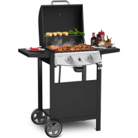 Propane Gas Grill 21000 BTU with 2-Burner,325 sq.in. Outdoor BBQ Grill for Barbecue Cooking with Top