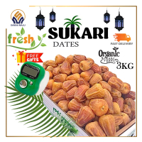 Kurma Sukkari AAA JUMBO Sukkari Dates | 3KG 1CTN samaa maju