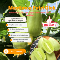 Benih Mentimun Putri Giok F1 – Mini, Kulit Putih & Cepat Panen