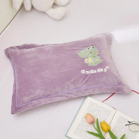 Vỏ Gối Trẻ Em, Mùa Đông, Cặp Đôi, 30x50, Vỏ Gối Cho Bé Sữa, Đơn, 40x60, Làm Bằng Nhung San Hô, Chống
