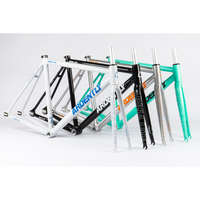 Ardently Arena Lite Track Frameset
