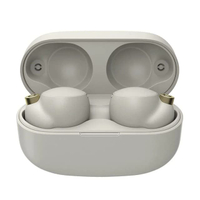 หูฟังไร้สาย True Wireless รุ่น WF-1000XM4 สีเงิน