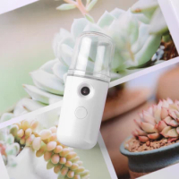 Mini Nano Mister 30ml Visual Water Tank Cool Mist Facial Steamer Mini Beauty Device Handy Hydrating Sprayer for Skin Care Makeup