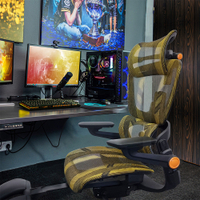 Hinomi  Ergonomic Gaming Chair Office Racing Chair Fabric 3D Lumbar Back Support Pillow