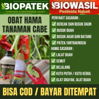 PAKET 2 BOTOL Fungisida & Pestisida BIOPATEK & BIOWASIL Mengatasi Hama Penyakit Patek pada Cabe
