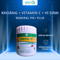 Khoáng Bột MINERAL PN+ Plus Vitamin C + x4  Vi Sinh Cho Bể Cá Cảnh / Khoáng Cho Hồ Cá