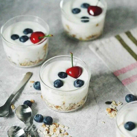 VISSY Gelas Dessert Pudding Yogurt Cocktail Heat Resistant 270ml V-27 Minum Bayi Mug Susu Anti Tumpa