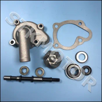 GY6 250cc CF250 CH250cc Engine Part Water Pump Assembly Moped Scooter Go Kart Atv Quad accessory