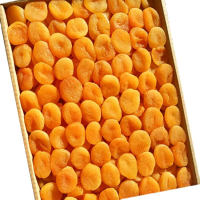 Dried Apricot Large Size  II Buah Apricot Kering Turkey 100g 250g 500g