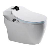 2022 modern 110V/220V luxury toilet bowl automatic flush toilet with bidet electric Intelligent one piece smart toilet