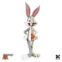 Bunny 4D XXRAY Master Anatomy Model Cute Cartoon Collectible Jason Freeny Desktop Decoration Kids Gift