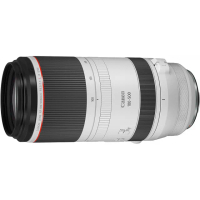 【Canon】RF 100-500mm F4.5-7.1L IS USM(公司貨 全片幅無反微單眼鏡頭)