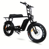 20"x 4.0 Wheel E-Bike 750W 48V Motor Mountain 17.5Ah Bike Lithium Battery Electric Bicycle Fat Tire Electric Bike