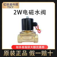 Yiruidi Technology Solenoid Valve Water Valve Fluid Control Valve 2W030-08/2W050-10/2WT030-08