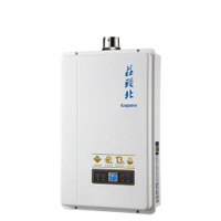 【莊頭北】13L數位恆溫2級能效分段火排強制排氣熱水器 天然氣 TH-7139FE(NG1/ FE式)