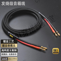 音箱線純銅專業音箱線材發燒級音頻連接線家用喇叭線功放香蕉頭線【亞德機械五金家居】