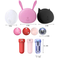Wireless Remote Control Underwear Vibrator, Panties Vibrating Egg Wearable Dildo Vibrator Clitoris Stimulator Sex toys for Women