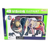 4D Vision Elephant Anatomy Model - Medical Quality Collectible with Fully Detachable Organs and Body Parts