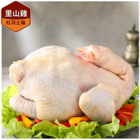 【里山十二食】台灣紅羽土雞_全雞-XL(3000g±10%/隻)