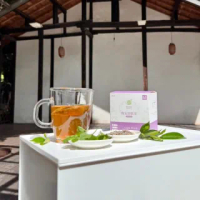 【細胞潛能】GABA草本茶包-晚安舒眠茶(3gx10入；博士級中醫漢方花草茶/養生茶/薰衣草花茶/幫助入睡/冷泡茶)