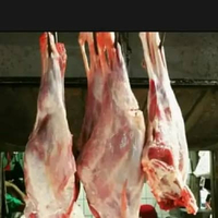 paha kambing muda 1kg