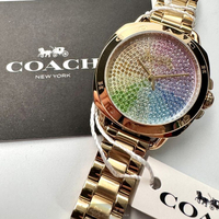 COACH手錶,編號CH00199,34mm金色圓形精鋼錶殼,彩虹中三針顯示, 滿天星錶面,金色精鋼錶帶款,立體感十足!, 彩虹滿天星款式