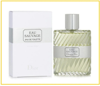 CHRISTIAN DIOR 迪奧清新之水香水 EAU SAUVAGE EAU DE TOILETTE 50ML 
