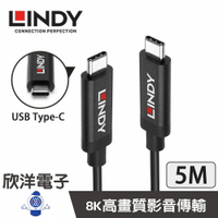 ※ 欣洋電子 ※ LINDY林帝 主動式USB3.2 GEN2 TYPE-C 公 TO 公傳輸線(43308) 5M