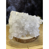 【Cozy 世界水晶原礦與茶】精品透體菊花晶10-4(能量廣闊生生不息)