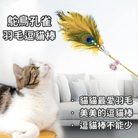 『台灣x現貨秒出』鴕鳥孔雀羽毛逗貓棒逗貓玩具