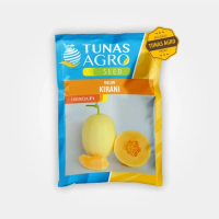 BENIH MELON KIRANI CANTALOUPE F1 EKSKLUSIF TUNAS AGRO ISI 10 Gram
