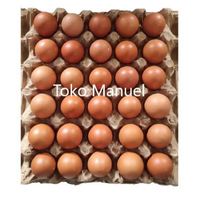 Telur Ayam Negeri Fresh 1 Tray