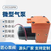 Micro Air Pump Packaging Machine DC AC Air Pump Beauty Medical Instrument Electric Diaphragm Pump Va
