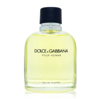 Dolce &amp; Gabbana Pour Homme 同名男性淡香水 EDT 125ml TESTER (平行輸入)