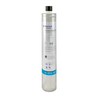 【EVERPURE】美國原裝進口濾心(H300NXT 平輸品)