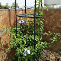 花架植物架花園供應黑色簡單玫瑰 Clematis 葡萄戶外裝飾鍛鐵園藝工具 1 Pc 支撐架家用可堆疊攀爬